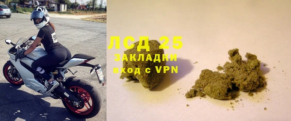 ГАЛЛЮЦИНОГЕННЫЕ ГРИБЫ Белокуриха