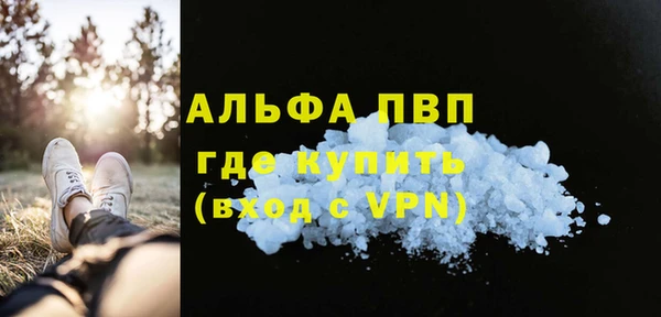 ГАЛЛЮЦИНОГЕННЫЕ ГРИБЫ Белокуриха