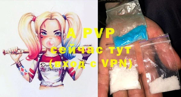 ГАЛЛЮЦИНОГЕННЫЕ ГРИБЫ Белокуриха